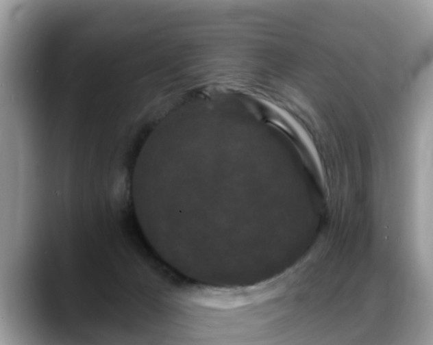 X0000088690029200706071528