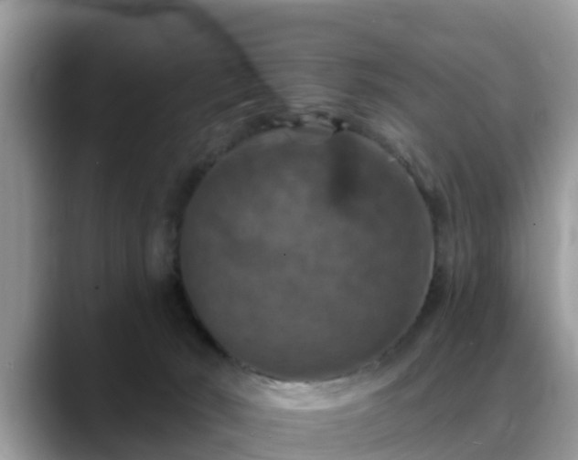 X0000088690030200706071528