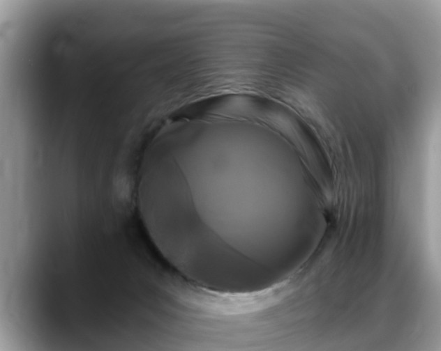 X0000088690031200706071528