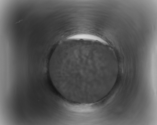 X0000088690032200706071528