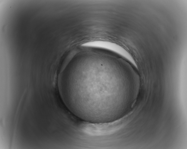 X0000088690033200706071528