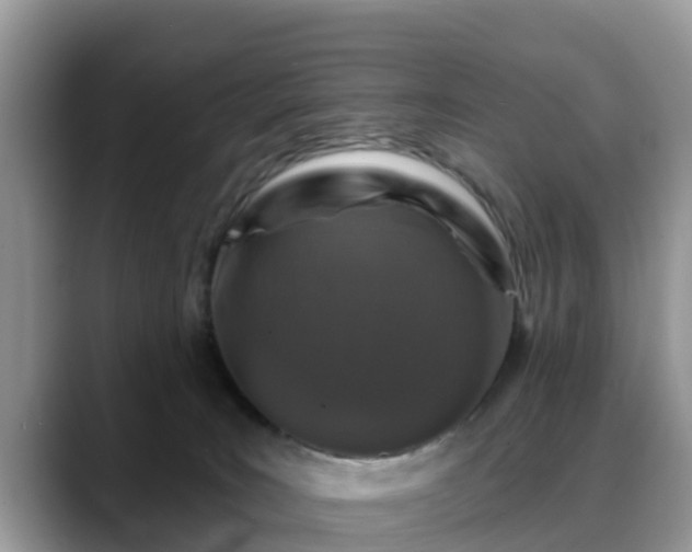 X0000088690035200706071528