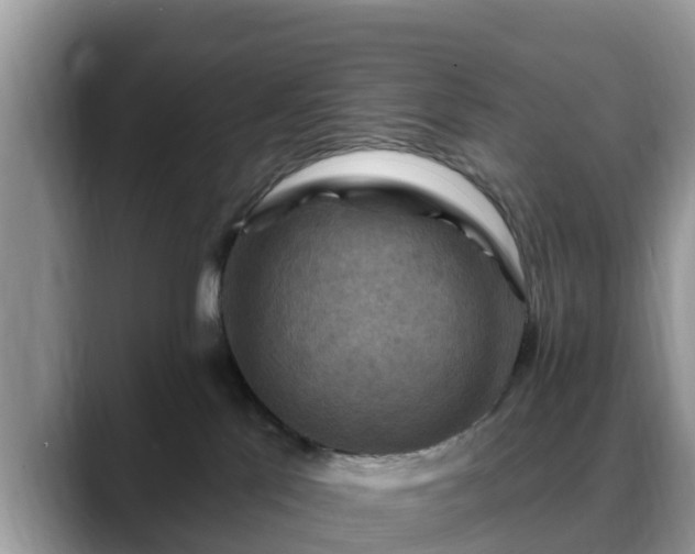 X0000088690041200706071528