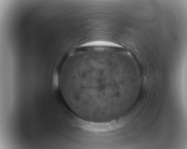 X0000088690042200706071528