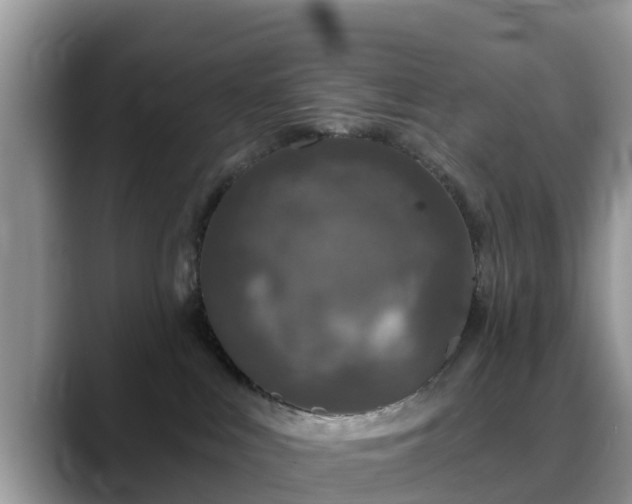 X0000088690043200706071528