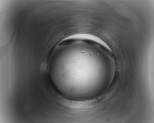 X0000088690044200706071528