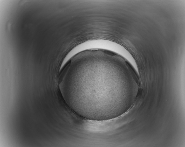 X0000088690045200706071528