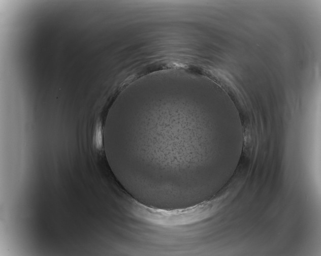 X0000088690046200706071528