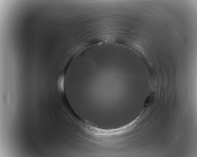 X0000088690047200706071528