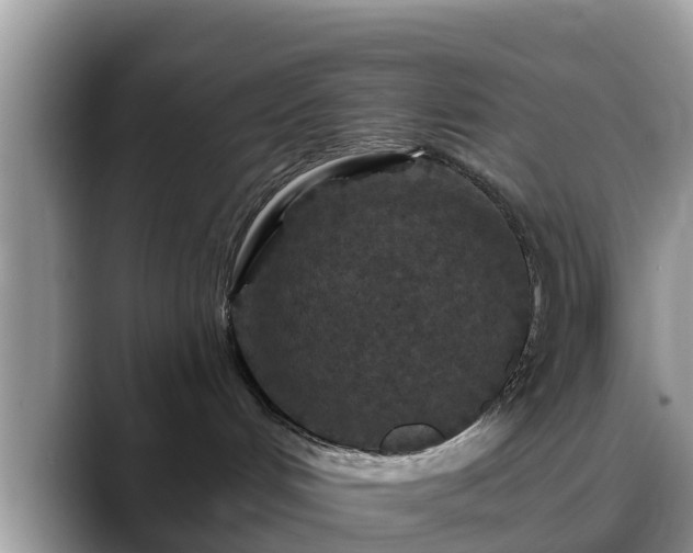 X0000088690048200706071528