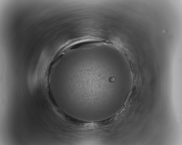 X0000088690050200706071528