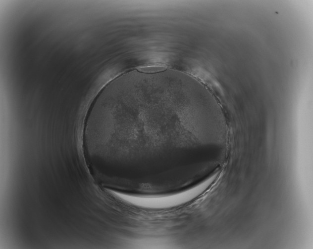 X0000088690051200706071528