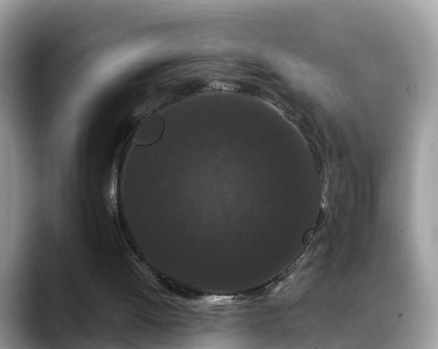 X0000088690052200706071528