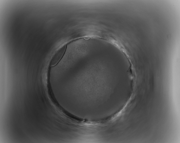 X0000088690055200706071528