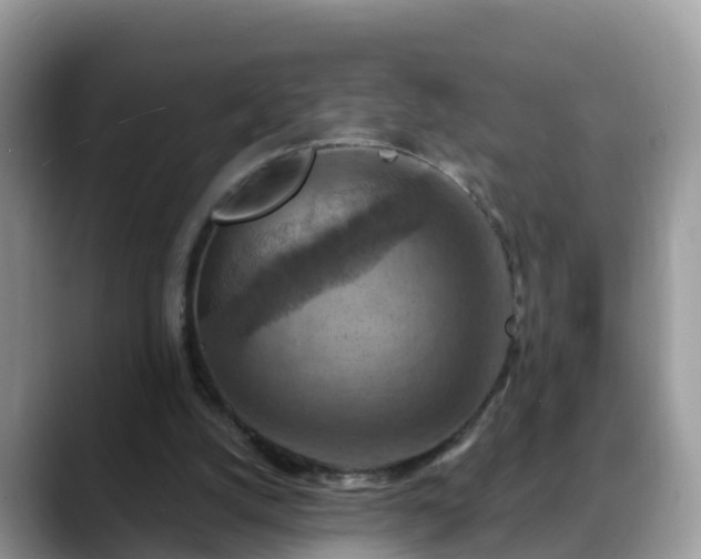 X0000088690056200706071528