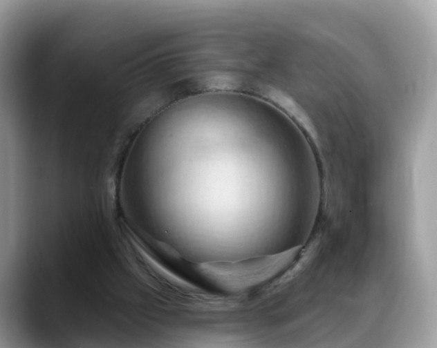 X0000088690057200706071528