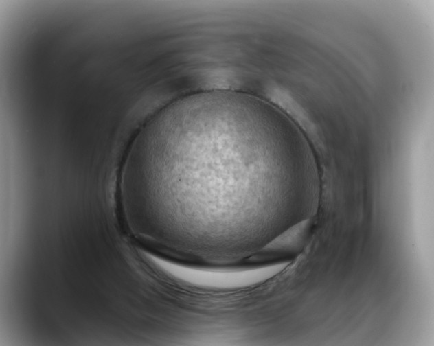 X0000088690058200706071528