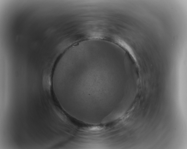 X0000088690059200706071528