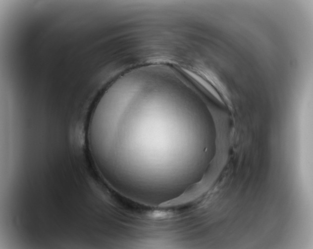 X0000088690060200706071528