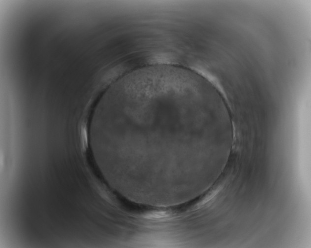 X0000088690061200706071528