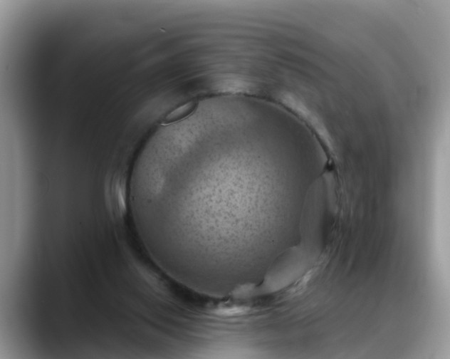 X0000088690062200706071528