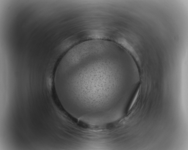 X0000088690063200706071528