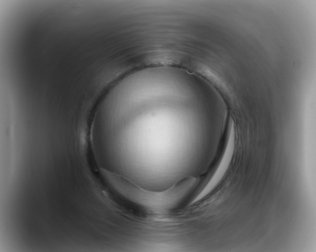 X0000088690064200706071528