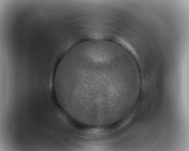 X0000088690065200706071528