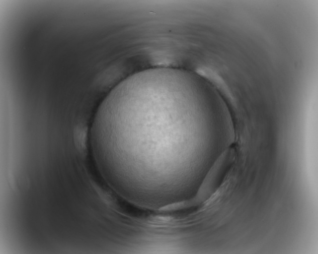 X0000088690066200706071528