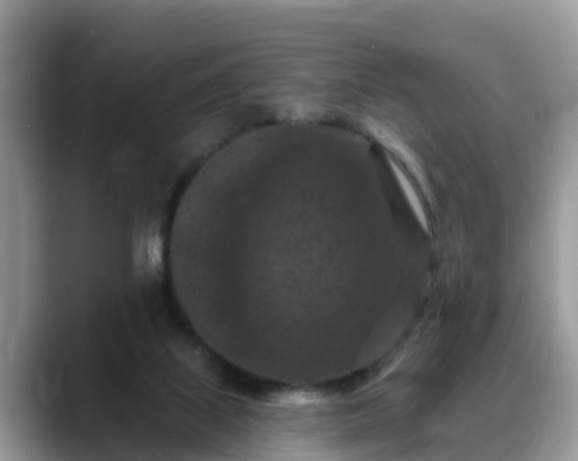 X0000088690067200706071528