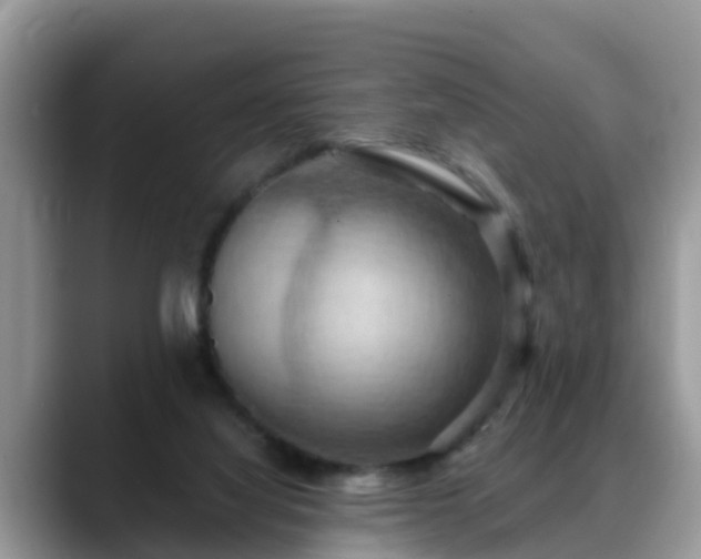 X0000088690068200706071528