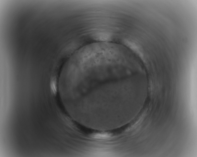 X0000088690069200706071528