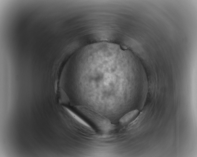 X0000088690070200706071528