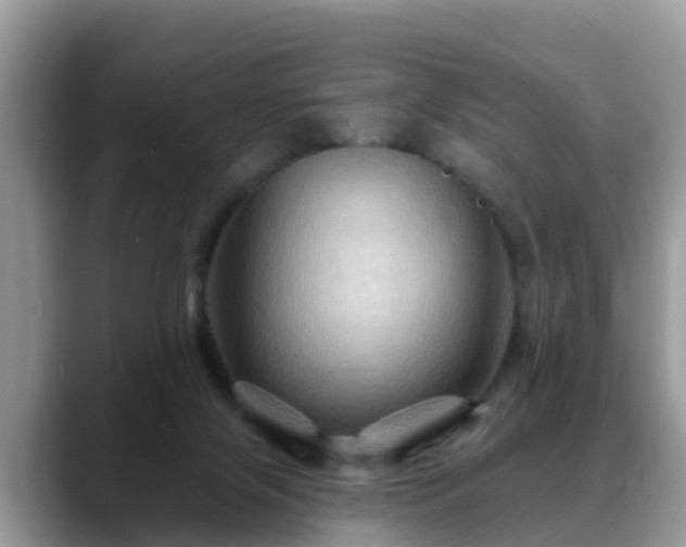 X0000088690071200706071528