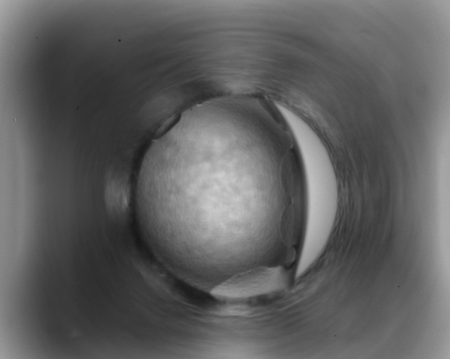 X0000088690072200706071528