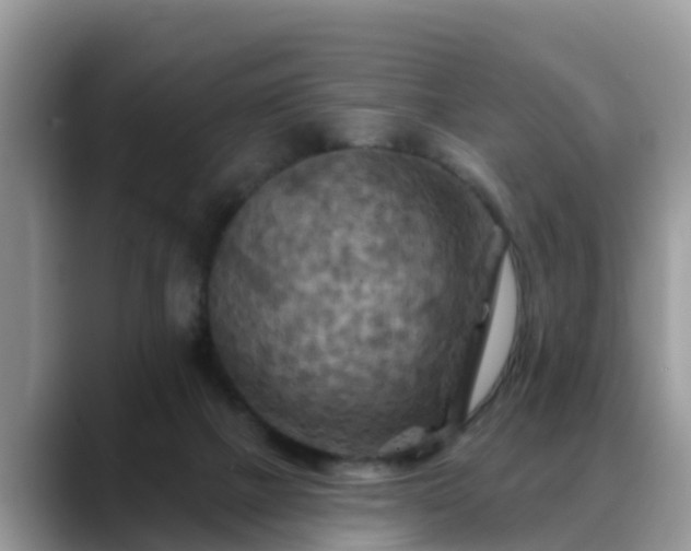X0000088690073200706071528
