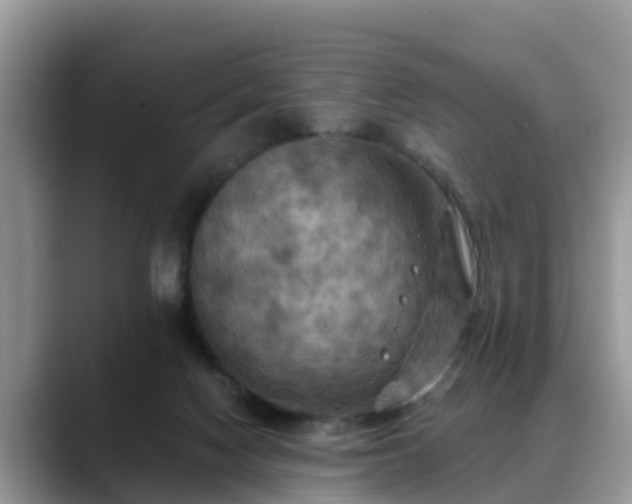 X0000088690074200706071528