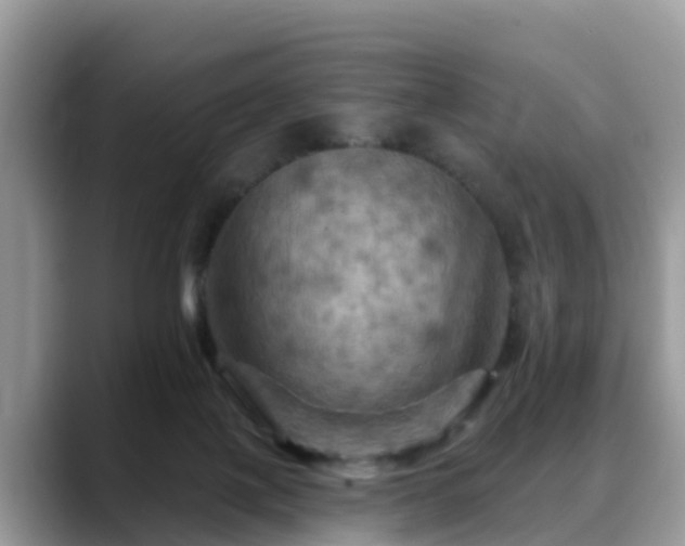 X0000088690075200706071528