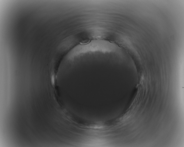 X0000088690076200706071528