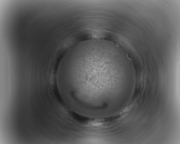 X0000088690078200706071528