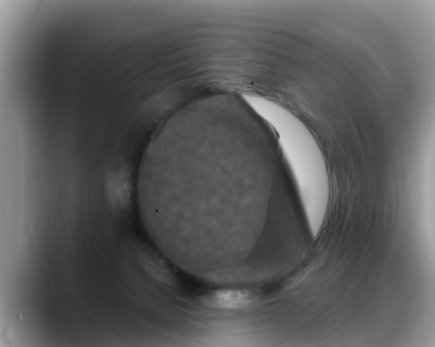 X0000088690080200706071528