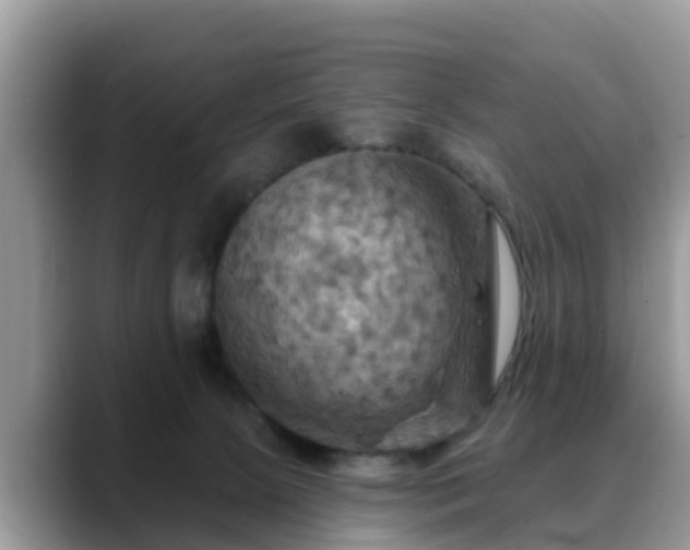 X0000088690081200706071528