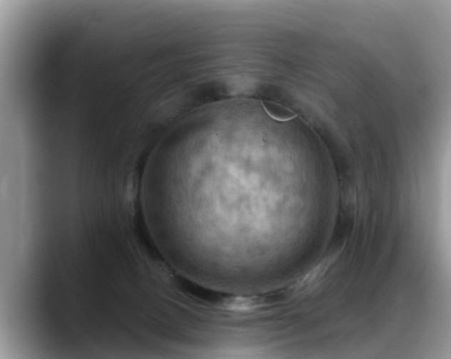 X0000088690082200706071528