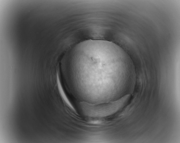 X0000088690084200706071528