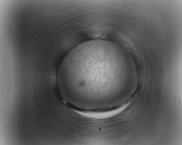 X0000088690085200706071528