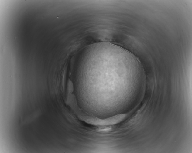 X0000088690088200706071528