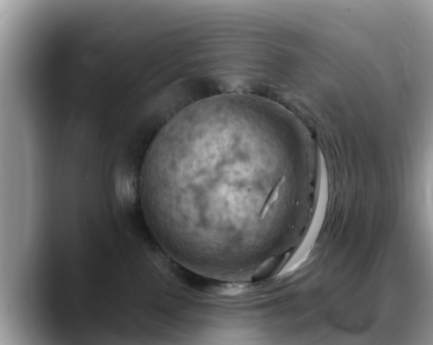 X0000088690090200706071528