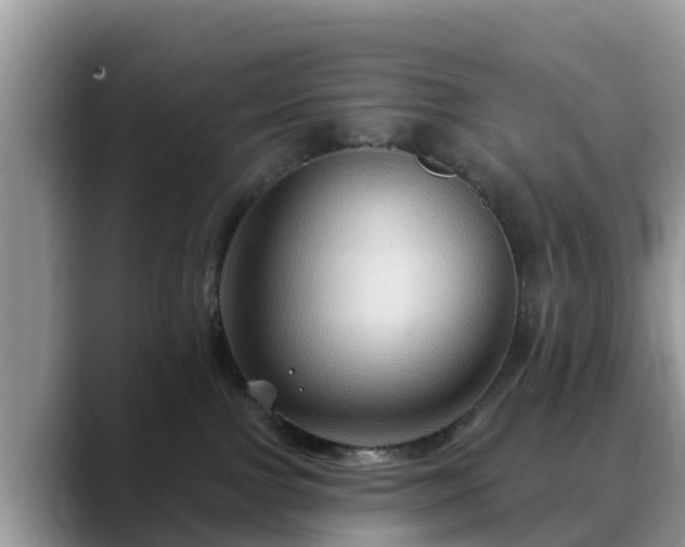 X0000088690091200706071528