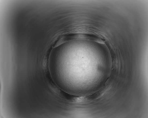 X0000088690092200706071528