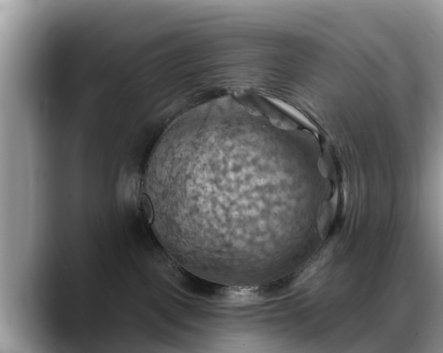 X0000088690093200706071528